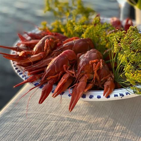 Experience a Swedish crayfish party